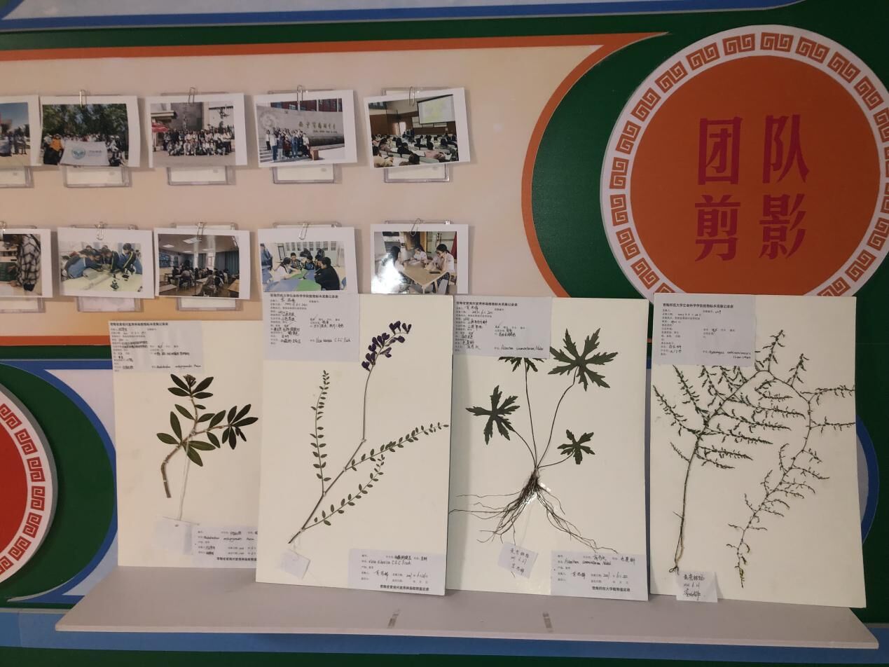 QQ图片20220331152744.jpg