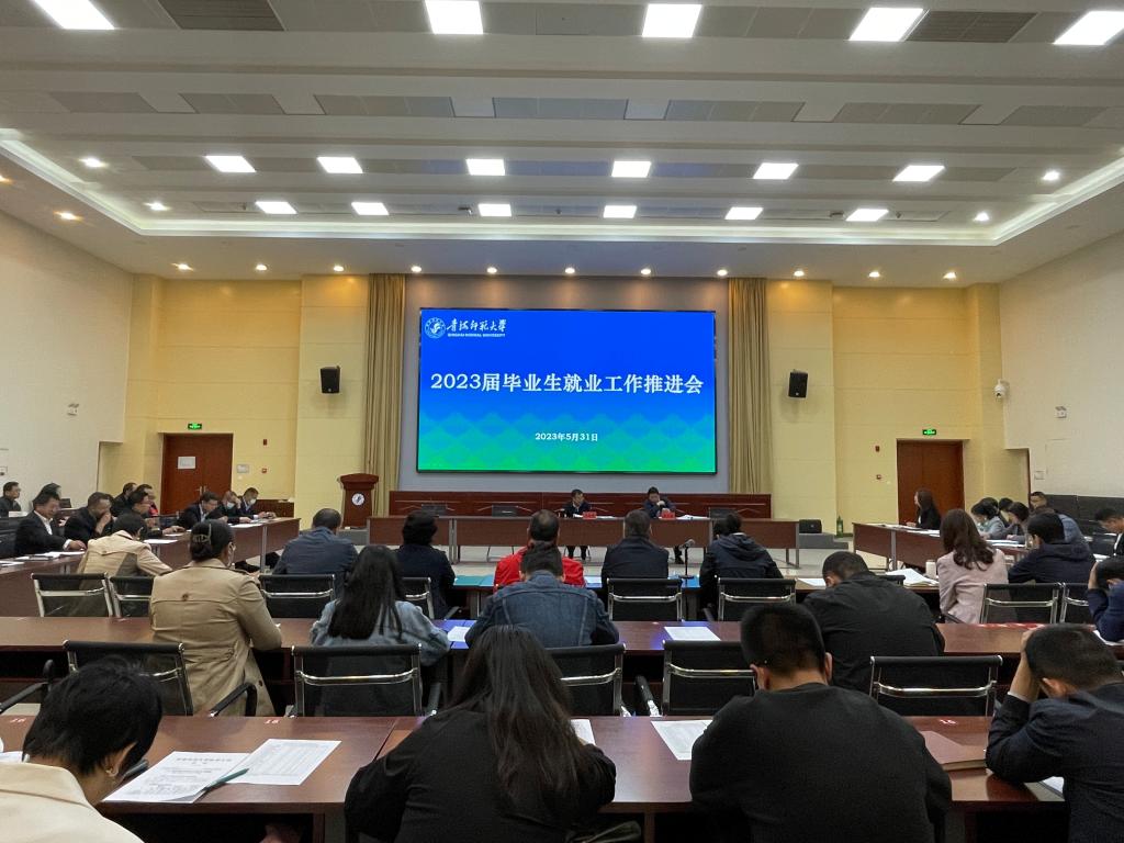 5.31就业工作推进会.jpg 5.31就业工作推进会.jpg