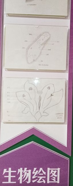 QQ图片20220331152717.jpg