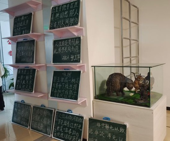 QQ图片20220331152725.jpg